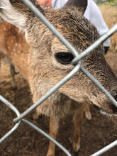 Load image into Gallery viewer, Fund-A-Need: Pen Supplies