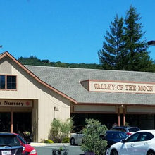 Load image into Gallery viewer, A Gardening Gift Card from Prickett's Nursery | Value: $50