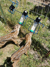 Load image into Gallery viewer, Fund-A-Need: Pen Supplies