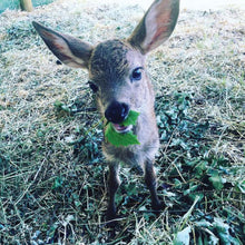 Load image into Gallery viewer, Fund-A-Need: Pen Supplies