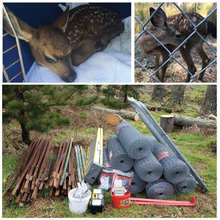 Load image into Gallery viewer, Fund-A-Need: Pen Supplies