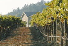Load image into Gallery viewer, For The Wine Lover: Varietals & Vintages From St. Francis Winery & Vineyards | Value $250