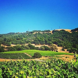 Estate Tour & Talk With Winemakers Nate & Lauren Of Belden Barns For 8 Guests + Bottle Of 2016 Chardonnay & 2018 Estate Pinot Noir | Value: $300