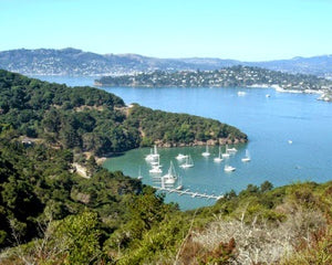 Private Chartered San Francisco Cityfront & Bay Boat Cruise + Champagne & Lite Bites For Four Guests | Value: $1000