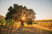Load image into Gallery viewer, Estate Tour &amp; Talk With Winemakers Nate &amp; Lauren Of Belden Barns For 8 Guests + Bottle Of 2016 Chardonnay &amp; 2018 Estate Pinot Noir | Value: $300
