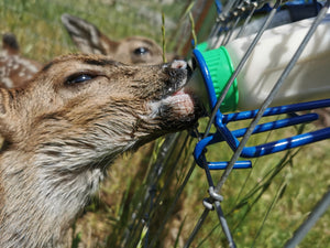 Fund-A-Need: Animal Care Support