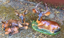 Load image into Gallery viewer, For the Collector: A Vintage Ceramic Deer Set | Value: $250
