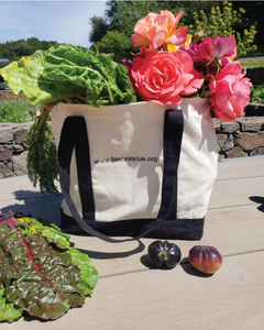 Lightweight Canvas Shopping Tote