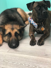 Load image into Gallery viewer, The Perfect Pet Package from Trim &amp; Proper Grooming Parlor | Value: $300
