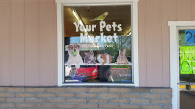 A Purrrrrfect Gift For Your Fur Babies at Your Pets Market | Value: $50