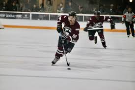 Hockey Lover? A Gift From The Growlers, Sonoma County's First Ice Hockey Team | Value: $150