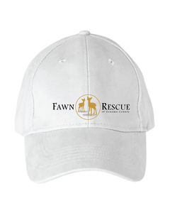 Two Fawn Rescue Long Sleeve Sweatshirts & Baseball Caps & A Luxe Canvas Boat Bag | Value: $180
