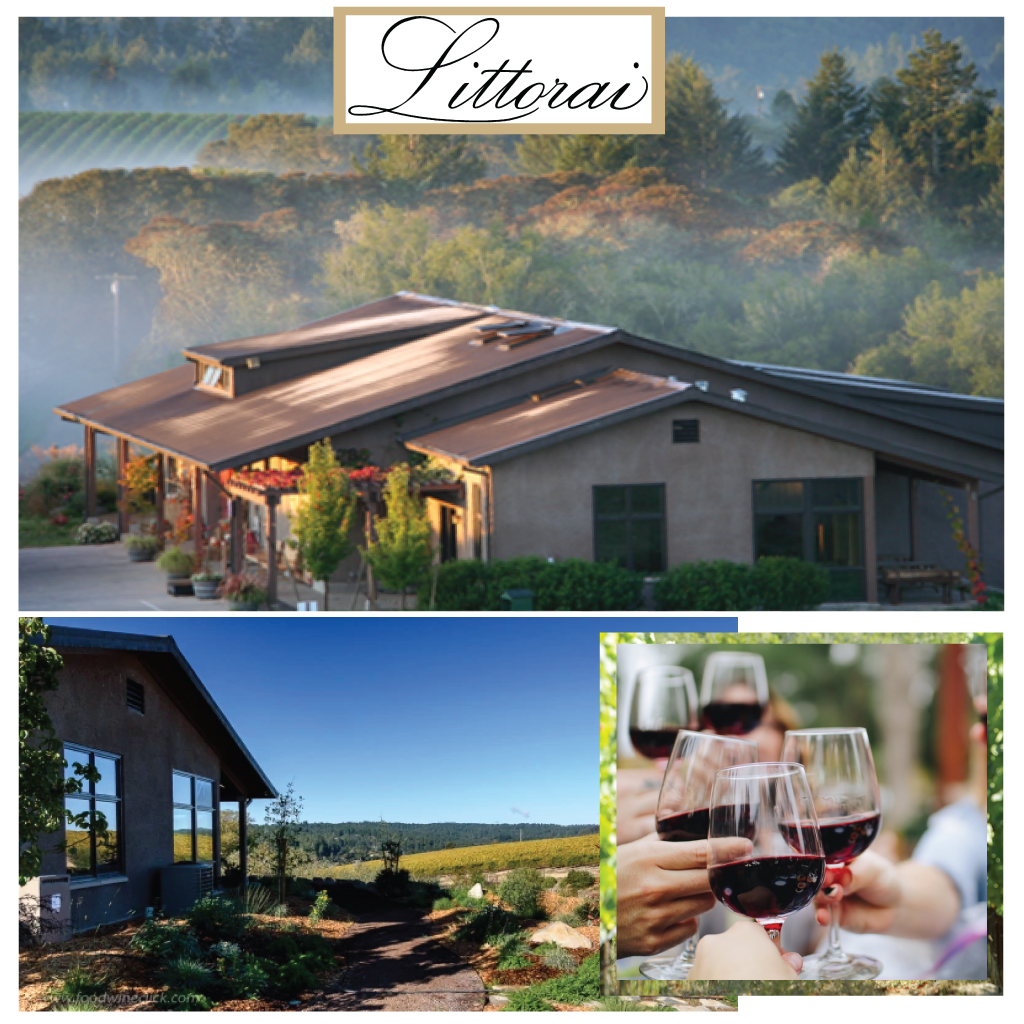 Private Biodynamic Estate Tour and Wine Tasting For Four Guests at Littorai | Value: $240