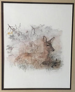 Framed Mads Stage Watercolor of Doe & Fawn | Value $175
