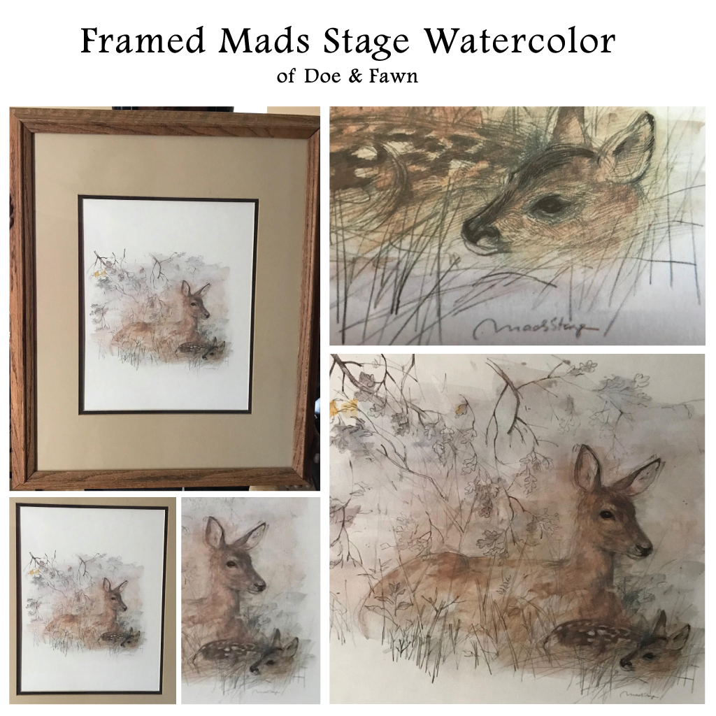 Framed Mads Stage Watercolor of Doe & Fawn | Value $175