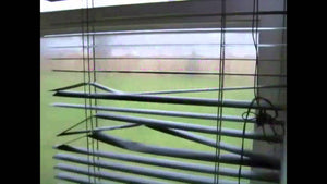 A Window Blind Repair Package From Blindingly Clean | Value $50