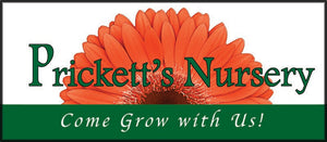 A Gardening Gift Card from Prickett's Nursery | Value: $50
