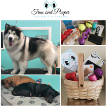 Load image into Gallery viewer, The Perfect Pet Package from Trim &amp; Proper Grooming Parlor | Value: $300
