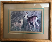 Load image into Gallery viewer, &quot;Doe &amp; Fawn&quot;: An Autographed, Framed Richard Jackson Photo | Value $75
