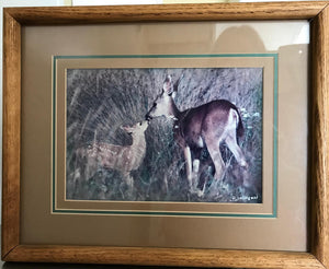 "Doe & Fawn": An Autographed, Framed Richard Jackson Photo | Value $75