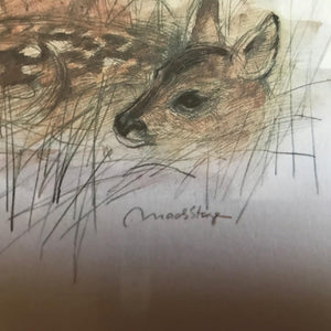 Framed Mads Stage Watercolor of Doe & Fawn | Value $175