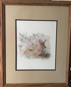 Framed Mads Stage Watercolor of Doe & Fawn | Value $175